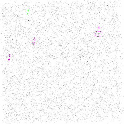 ccd3 smooth0cl image