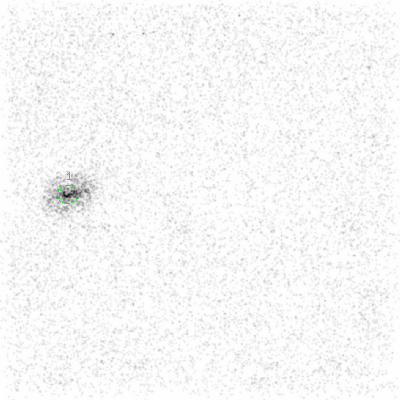 ccd6 smooth0 image