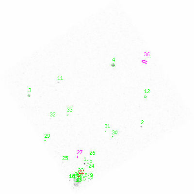 ccd3 smooth0 image