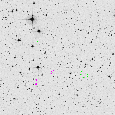 Skyview survey image