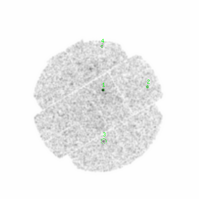 mos2 smooth0cl image