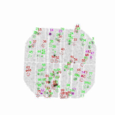 pn smooth0hcl image