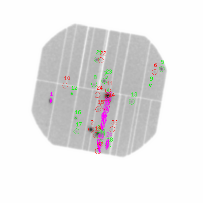 pn smooth0hcl image