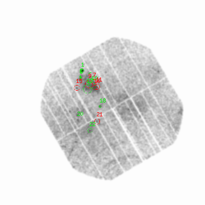 pn smooth0hcl image