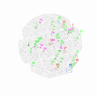 mos2 fullimagehcl image