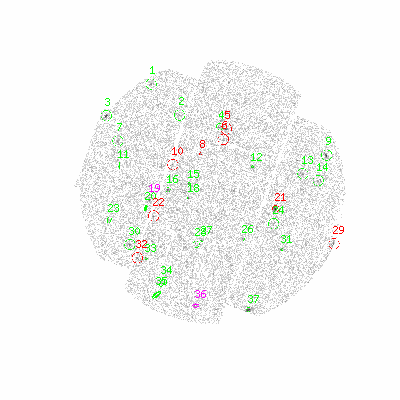 mos1 fullimagehcl image