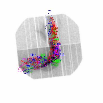 pn smooth0hcl image