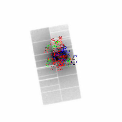 pn smooth0hcl image