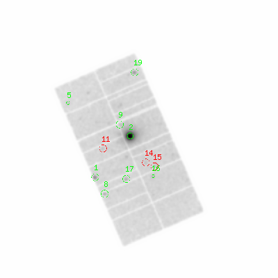 pn smooth0hcl image