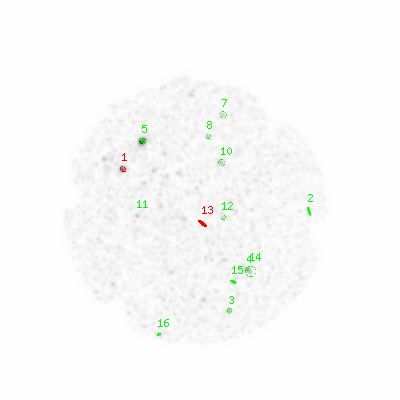 mos2 smooth0cl image