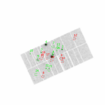 pn smooth0hcl image