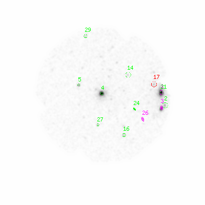 mos2 smooth0hcl image