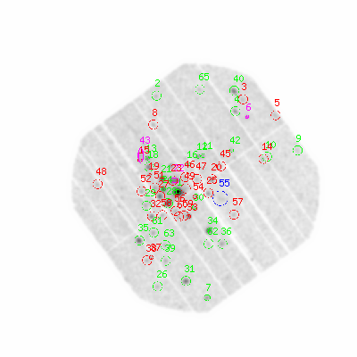 pn smooth0hcl image