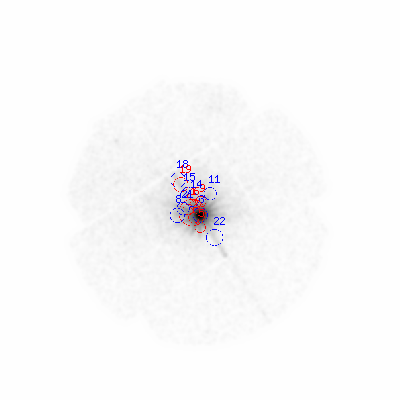 mos2 smooth0hcl image