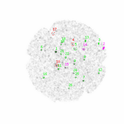 mos2 smooth0hcl image