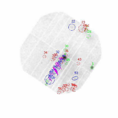 pn smooth0hcl image