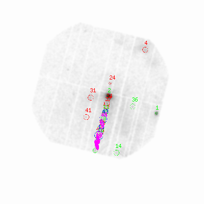 pn smooth0hcl image