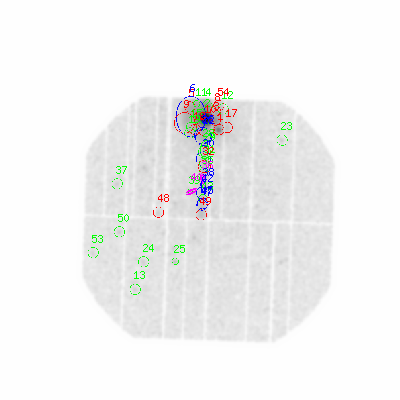 pn smooth0hcl image