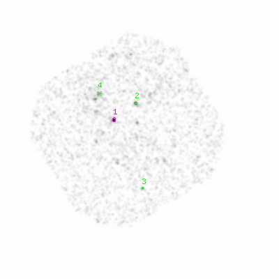 pn smooth0hcl image