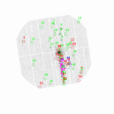 pn smooth0hcl image