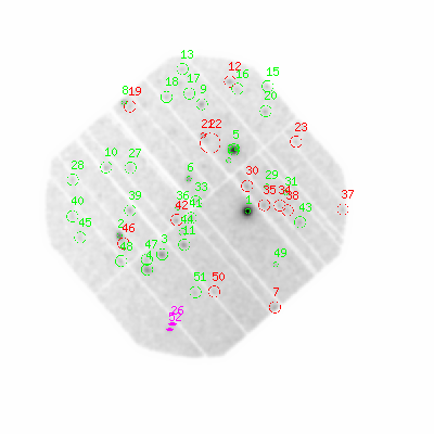 pn smooth0hcl image