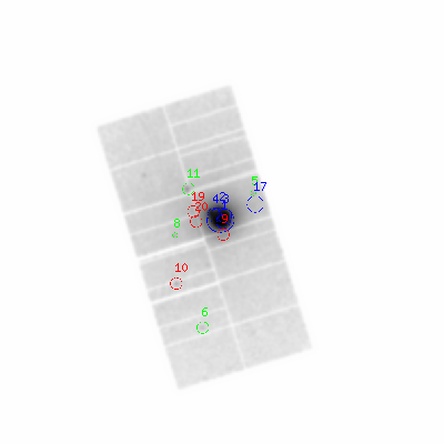 pn smooth0hcl image