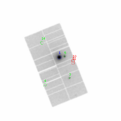 pn smooth0hcl image