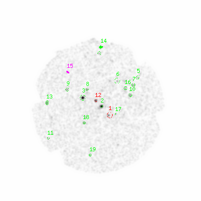 mos2 smooth0hcl image