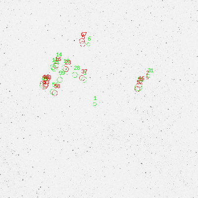 Skyview survey image