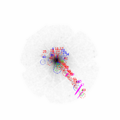 mos2 smooth0cl image