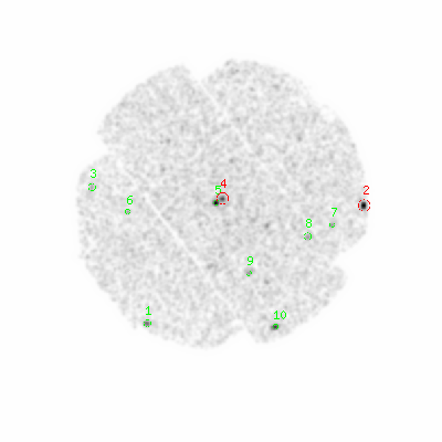 mos1 smooth0hcl image