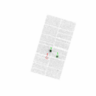 pn smooth0hcl image