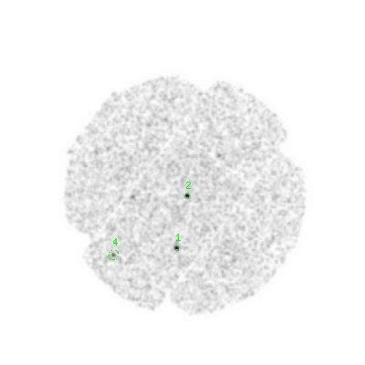 mos2 smooth0cl image