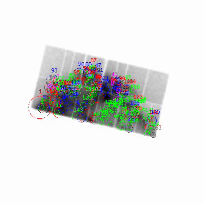 pn smooth0hcl image