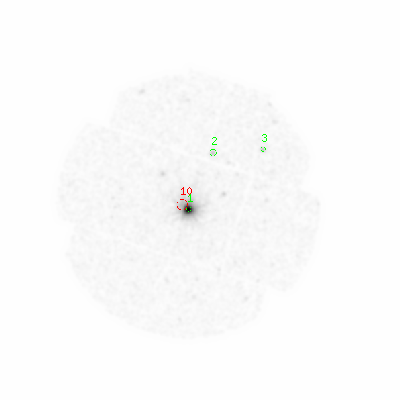 mos2 smooth0 image