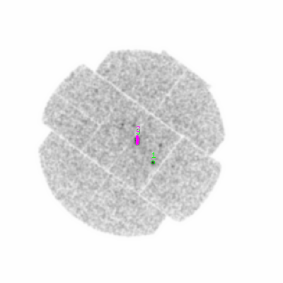 mos2 smooth0hcl image