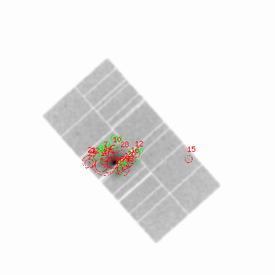 pn smooth0hcl image