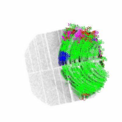 pn smooth0hcl image