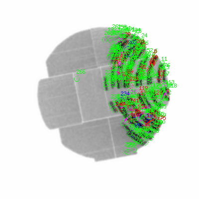 mos2 smooth0 image