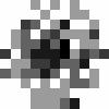 Source Image