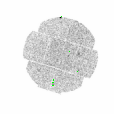 mos2 smooth0cl image