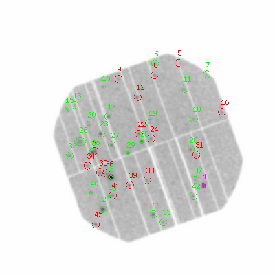 pn smooth0hcl image