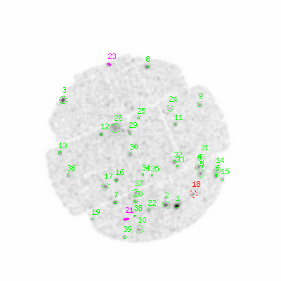 mos2 smooth0cl image