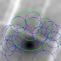 Source 45 Image