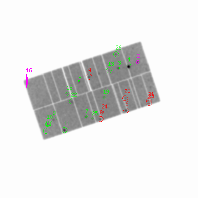 pn smooth0hcl image