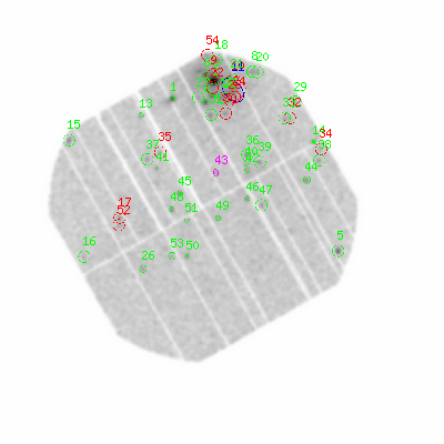 pn smooth0hcl image