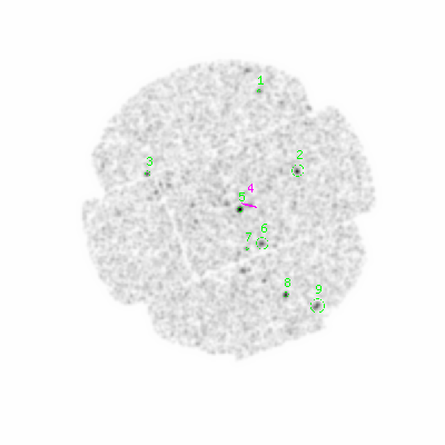 mos2 smooth0hcl image