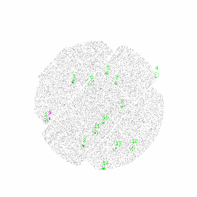 mos2 fullimagehcl image