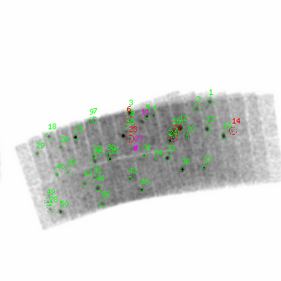 pn smooth0hcl image