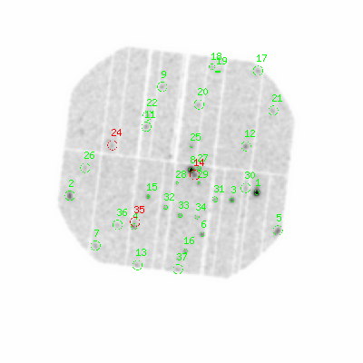 pn smooth0hcl image